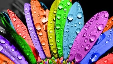 როგორ დავიკლოთ წონა 6 ფურცლის დიეტაზე